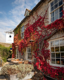 The New Inn